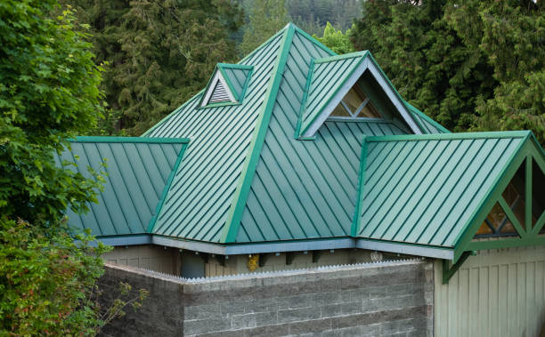 Best Roof Ventilation Installation  in De Pue, IL