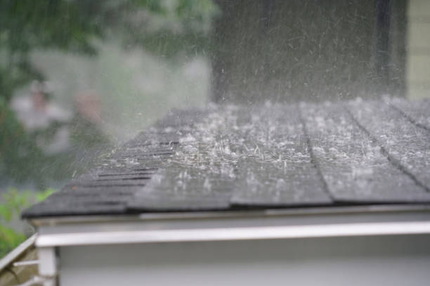 Best Commercial Roofing Services  in De Pue, IL