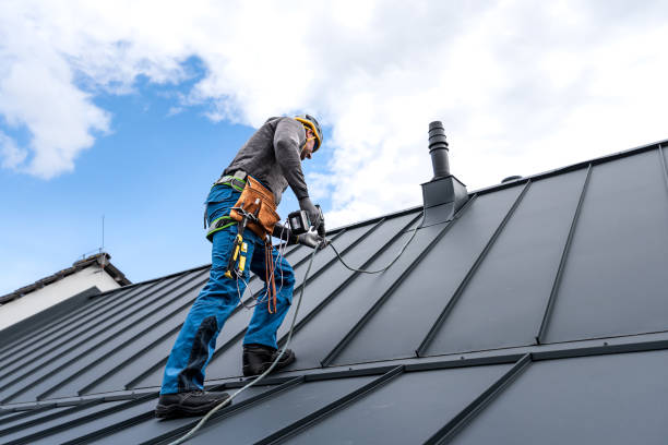 Best Storm Damage Roof Repair  in De Pue, IL