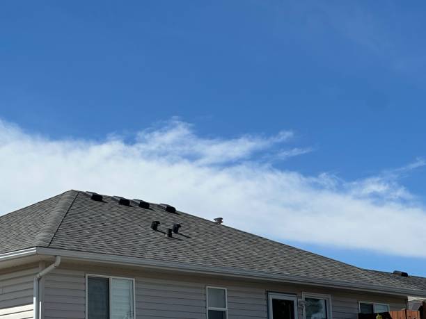 Best Sheet Metal Roofing  in De Pue, IL